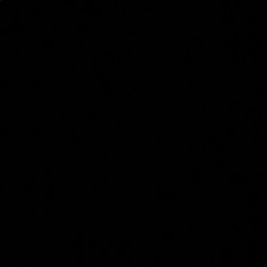 Meet your Posher, Ashlee